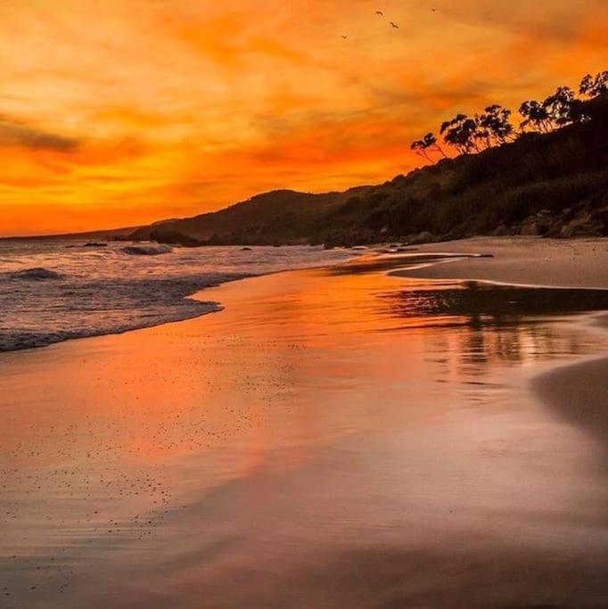 Casita Del Mar A Pie De Playa Daire Tarifa Dış mekan fotoğraf