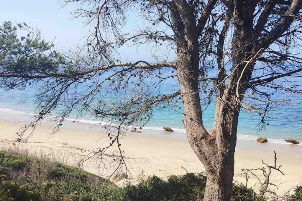 Casita Del Mar A Pie De Playa Daire Tarifa Dış mekan fotoğraf